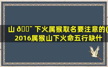 山 🐯 下火属猴取名要注意的(2016属猴山下火命五行缺什 🌹 么)